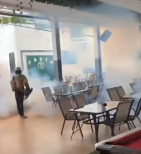 Fumigation And Pests Control